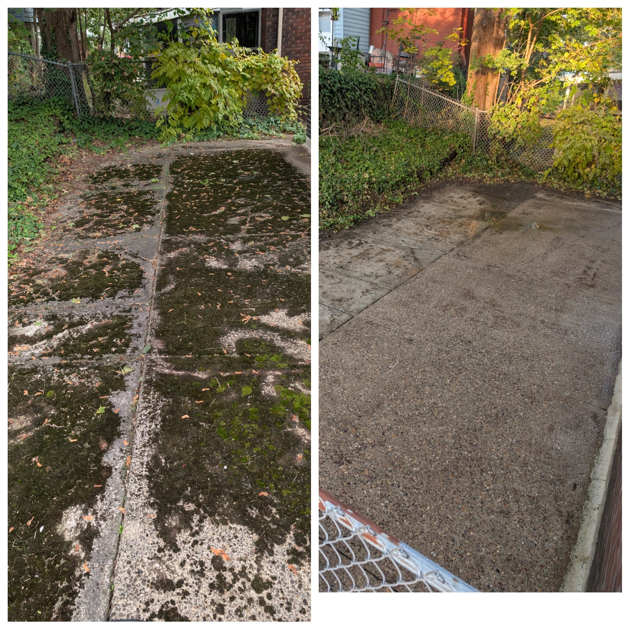 WhatsApp Image 2025 11 01 at 6.11.19 PM